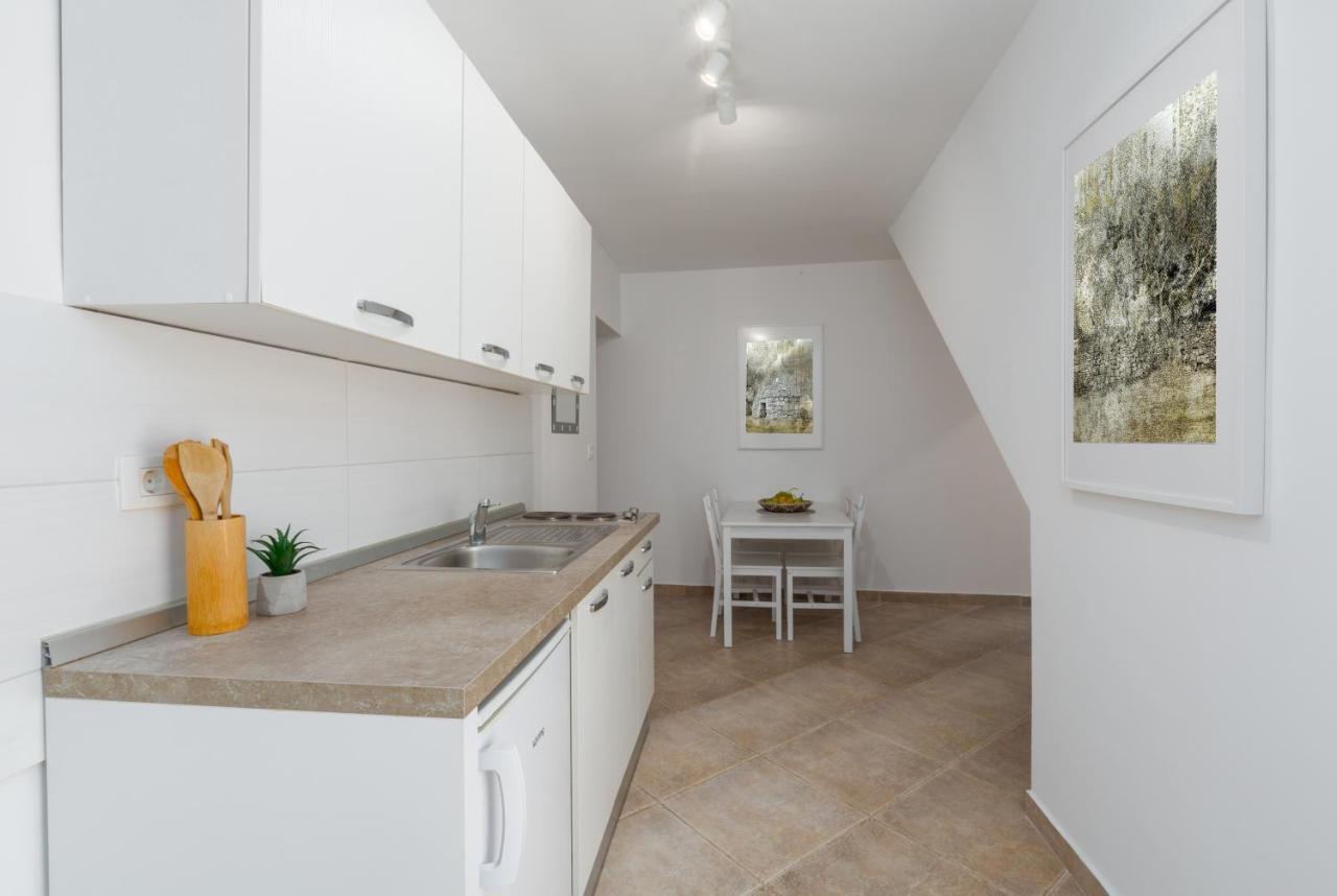 Apartments Agata Novigrad  Zewnętrze zdjęcie